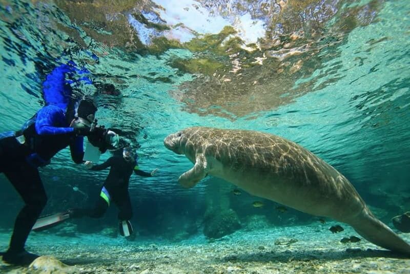 Biscayne National Park