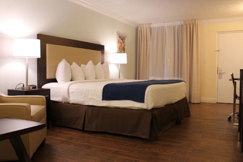 Premium King Room
